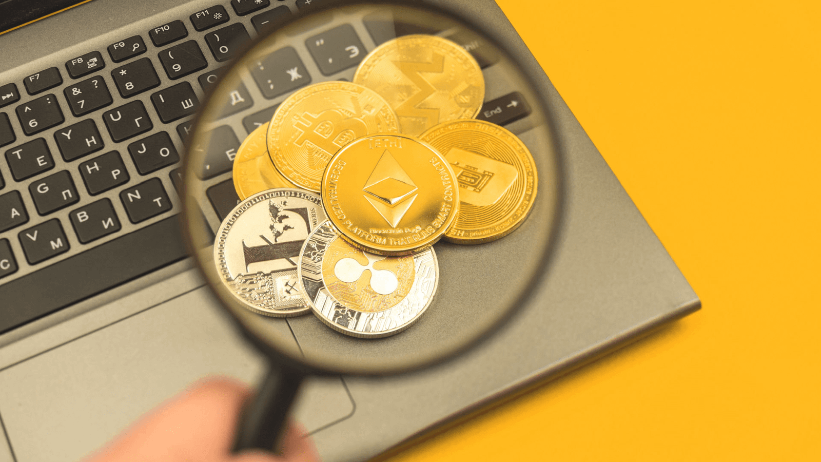 Crypto for Beginners A Complete Guide to Crypto